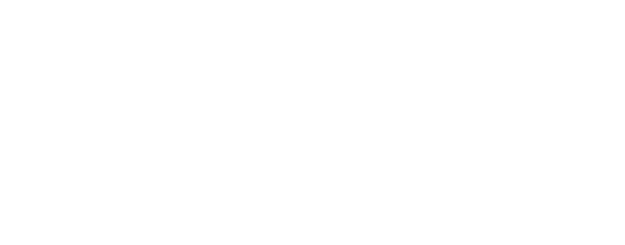 Sideline Strategist